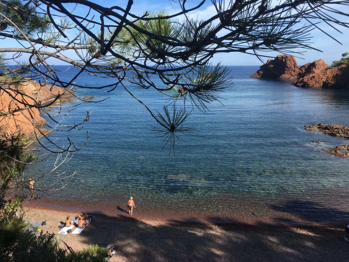 "Les Alizes" Cote Jardin Proche Bord De Mer Saint-Raphaël Eksteriør billede