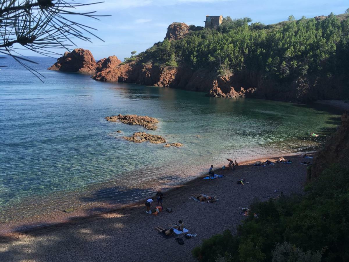 "Les Alizes" Cote Jardin Proche Bord De Mer Saint-Raphaël Eksteriør billede
