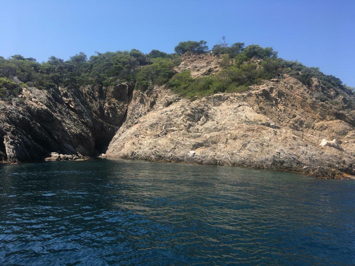 "Les Alizes" Cote Jardin Proche Bord De Mer Saint-Raphaël Eksteriør billede