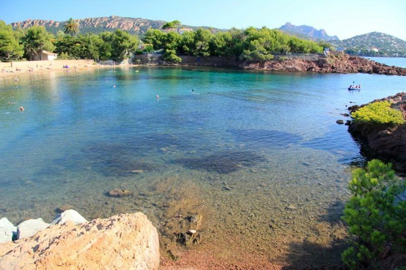 "Les Alizes" Cote Jardin Proche Bord De Mer Saint-Raphaël Eksteriør billede