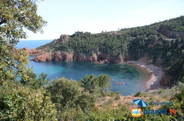 "Les Alizes" Cote Jardin Proche Bord De Mer Saint-Raphaël Eksteriør billede