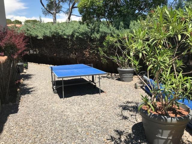 "Les Alizes" Cote Jardin Proche Bord De Mer Saint-Raphaël Eksteriør billede